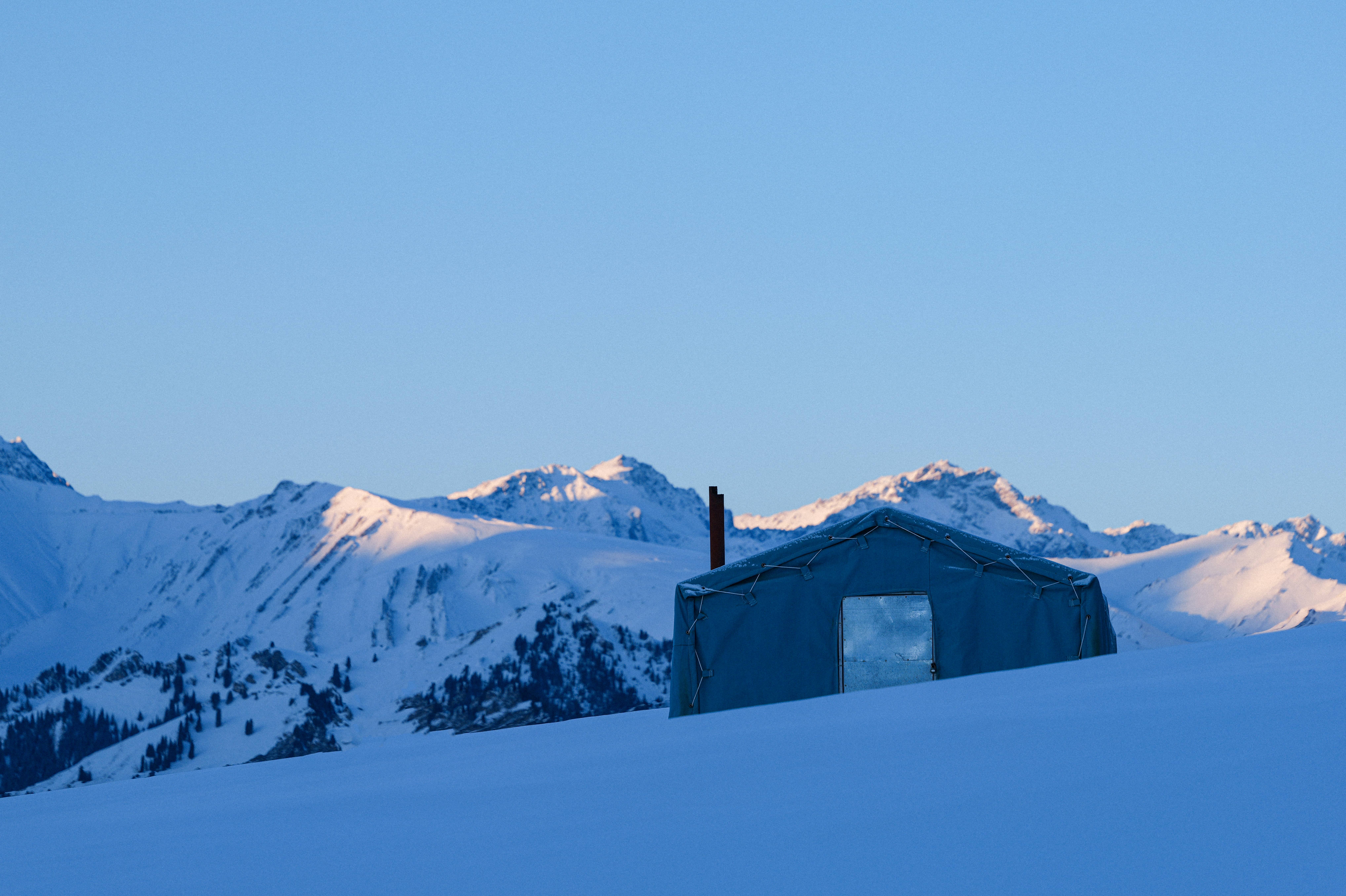 祝你有一个自作自受的人生
