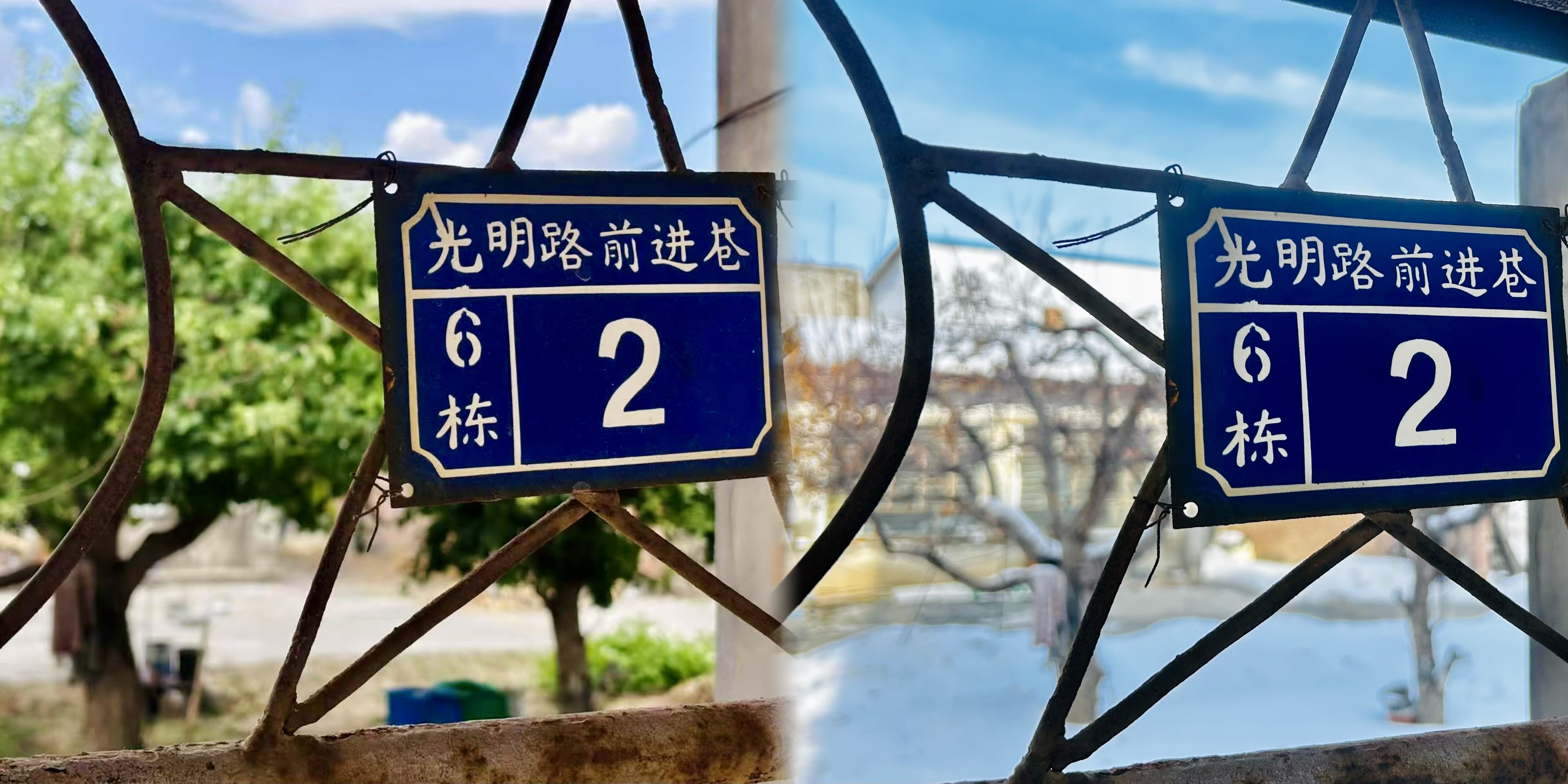 园中四季轮转，人间过客匆匆