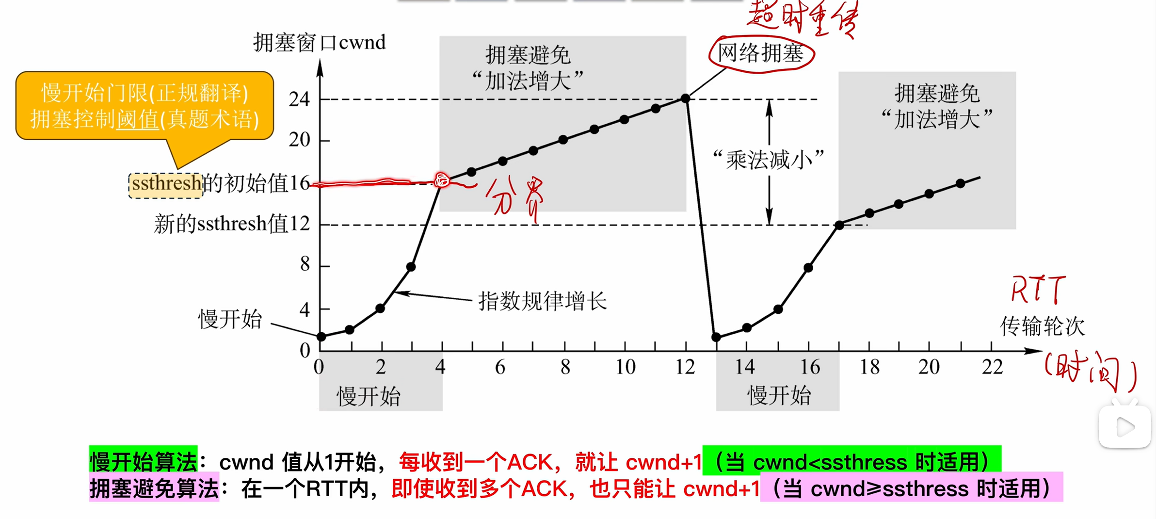 image-20260111123530915